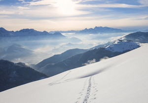 城市住宅区业主公约